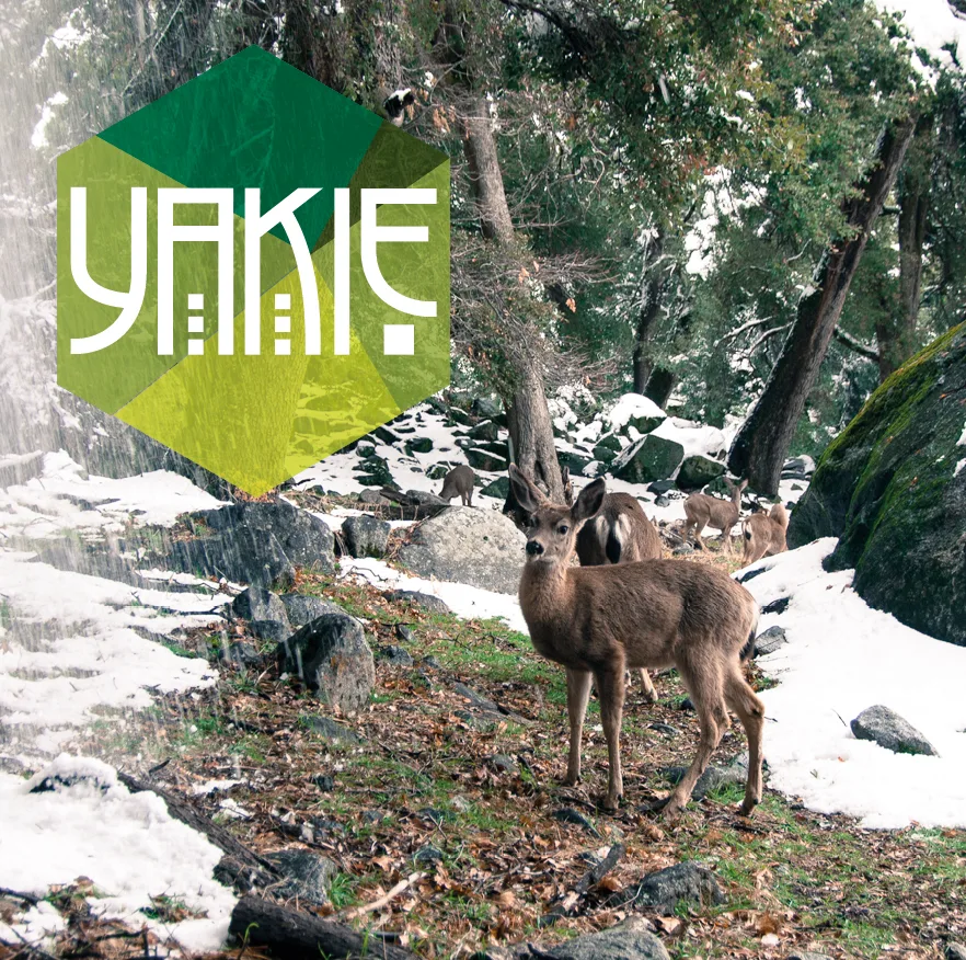 Yakie graphic identity